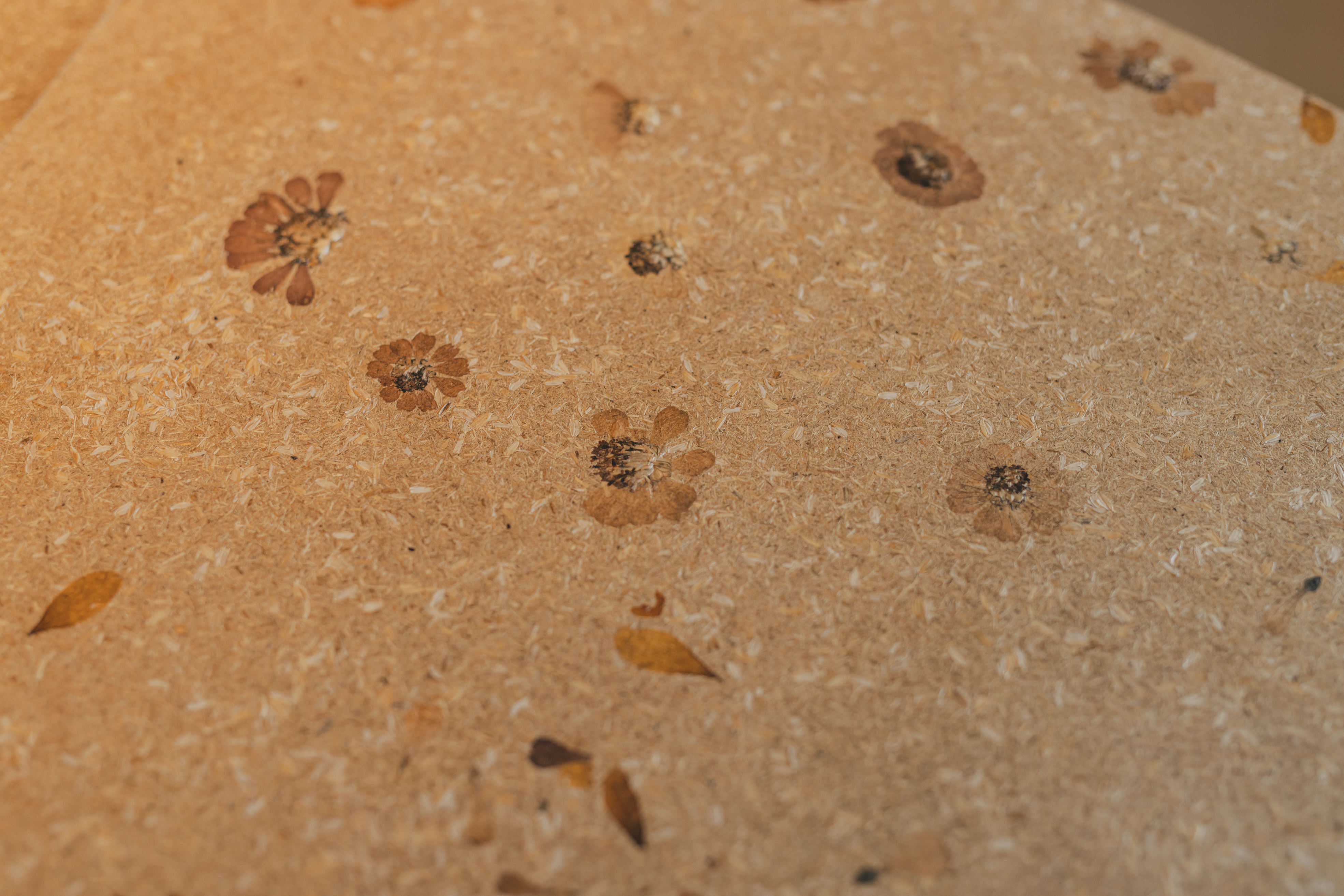 Gallery image for 土ノ子